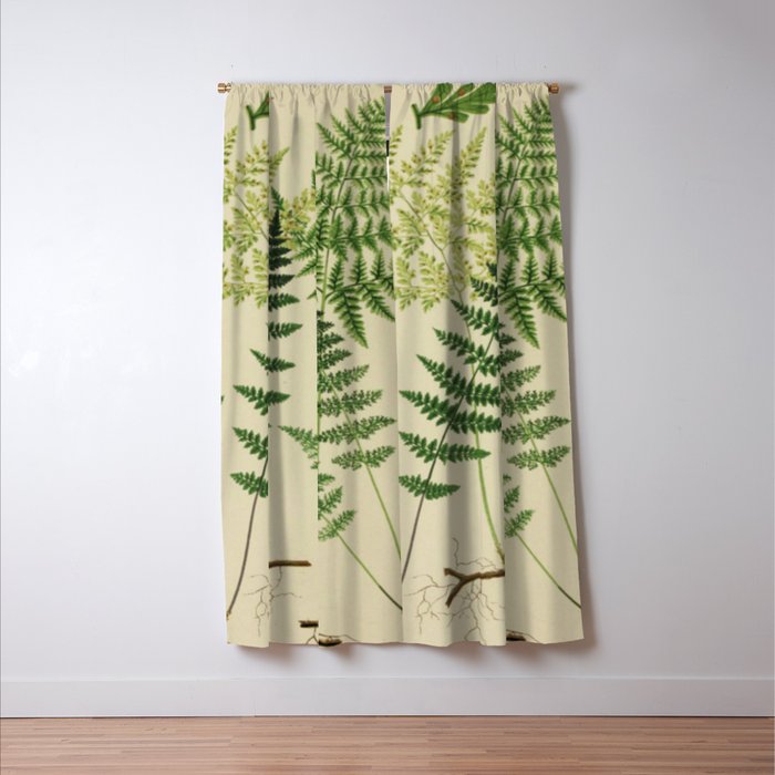 Botanical Ferns Window Curtain Gallery Image 3