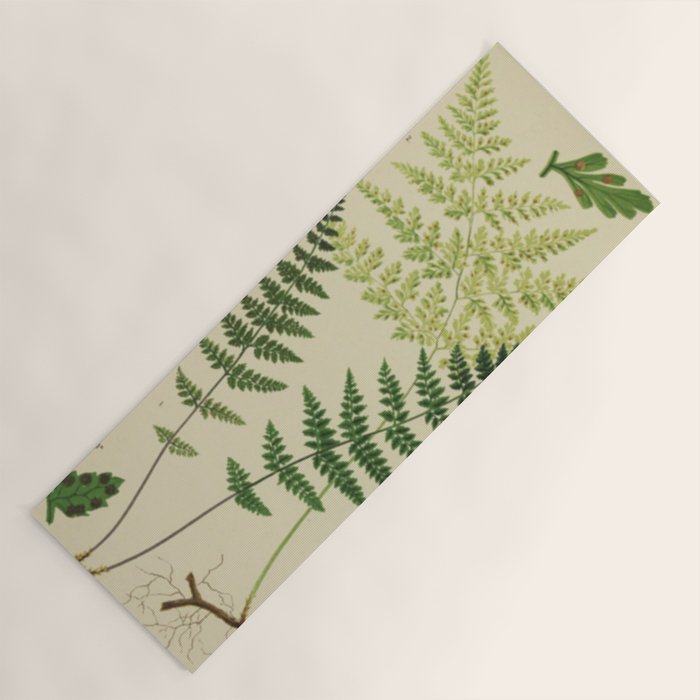 Botanical Ferns Yoga Mat Gallery Image 1