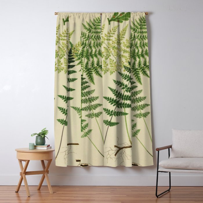 Botanical Ferns Window Curtain Gallery Image 1
