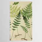 Botanical Ferns Tablecloth Gallery Image 2
