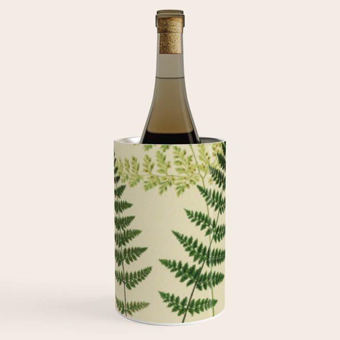 Botanical Ferns Wine Chiller Gallery Image 2