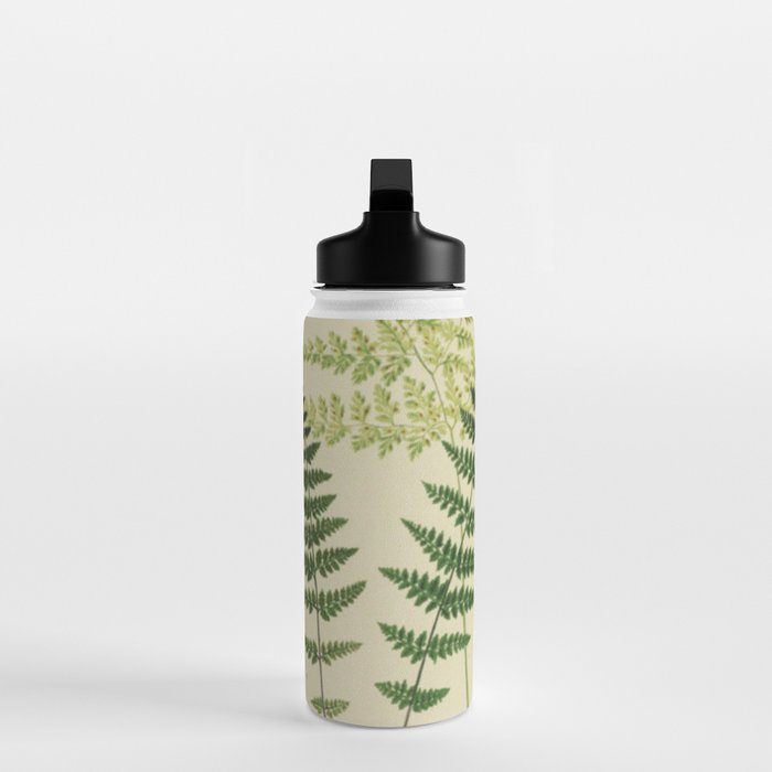 Botanical Ferns Water Bottle Gallery Image 3