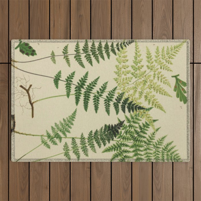 Botanical Ferns Outdoor Rug Gallery Image 1