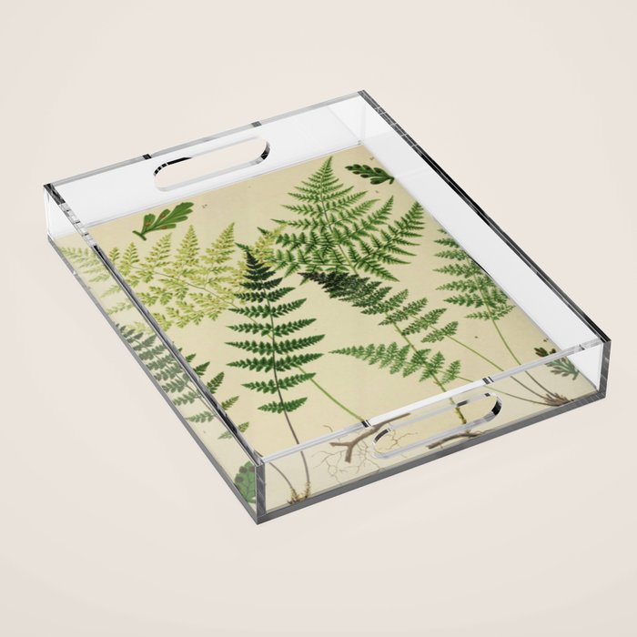 Botanical Ferns Acrylic Tray Gallery Image 1