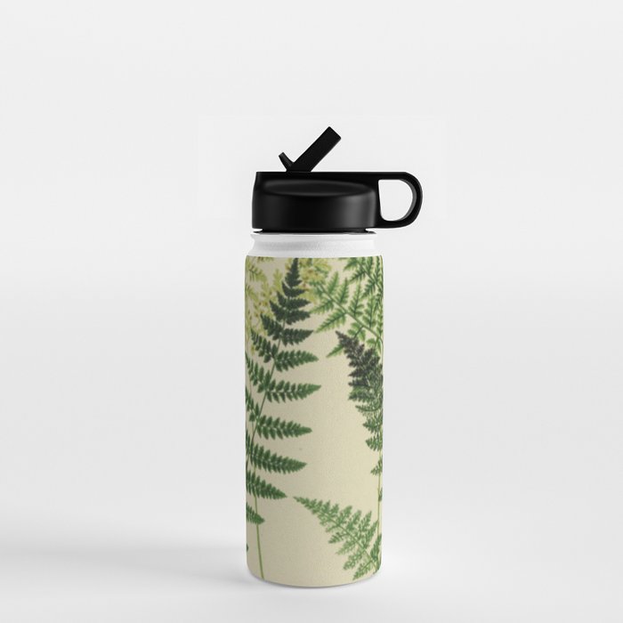 Botanical Ferns Water Bottle Gallery Image 1