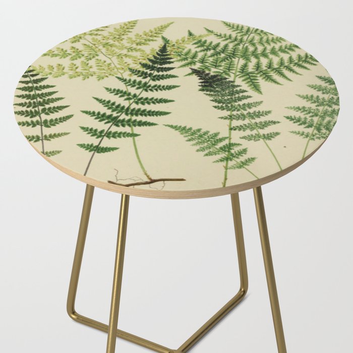 Botanical Ferns Side Table Gallery Image 2