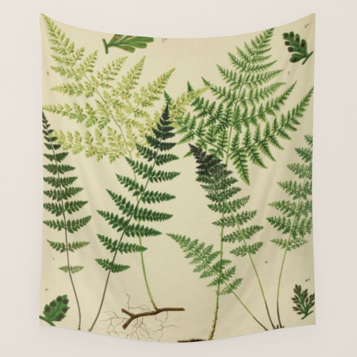 Botanical Ferns Wall Tapestry Gallery Image 1