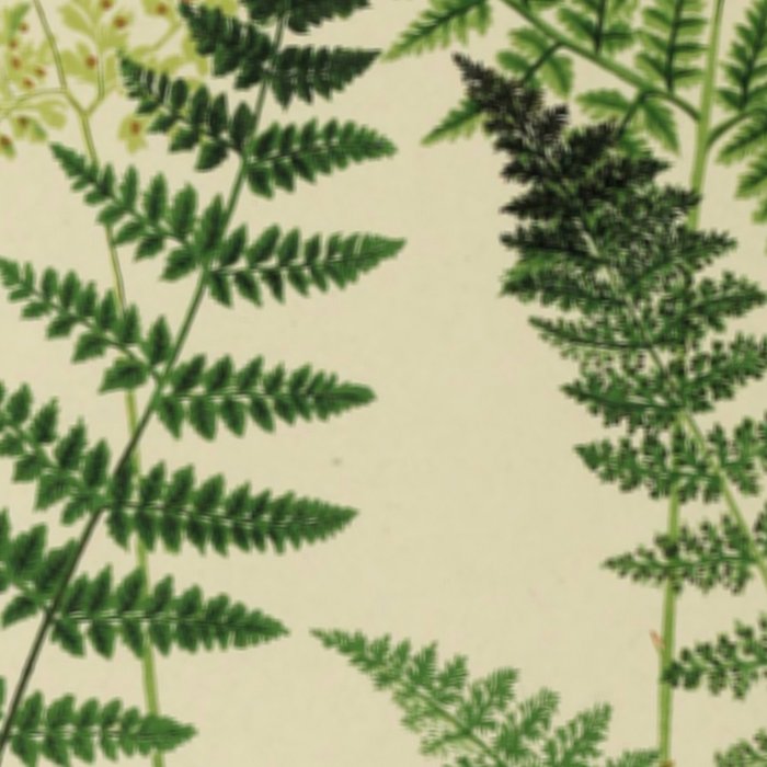 Botanical Ferns Coffee Mug Gallery Image 2