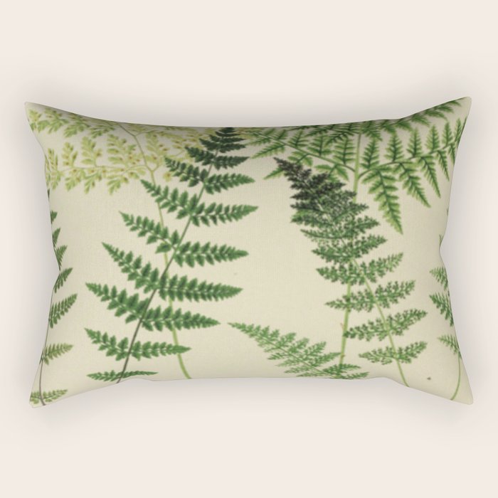 Botanical Ferns Rectangular Pillow Gallery Image 2