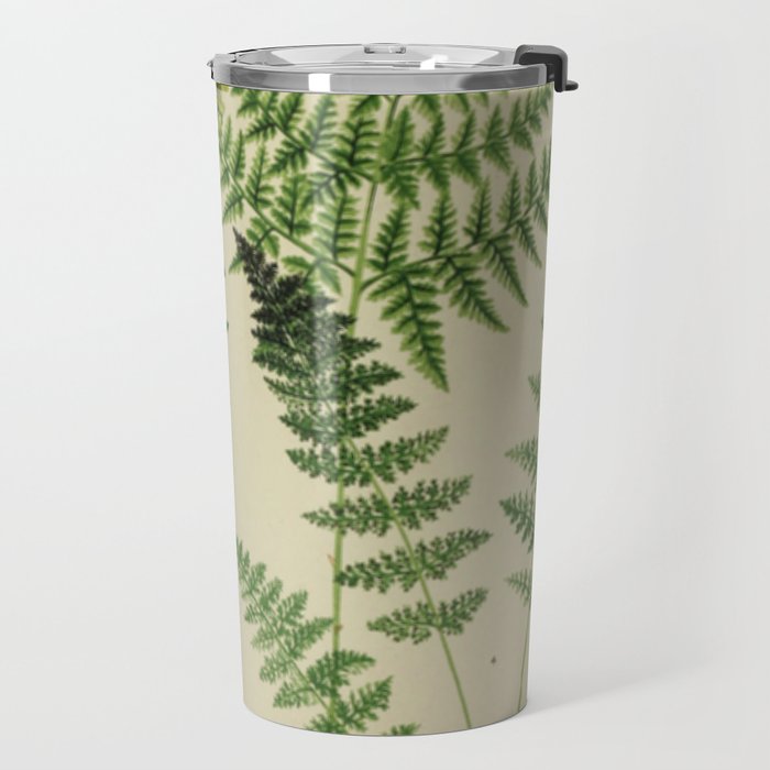 Botanical Ferns Travel Mug Gallery Image 2