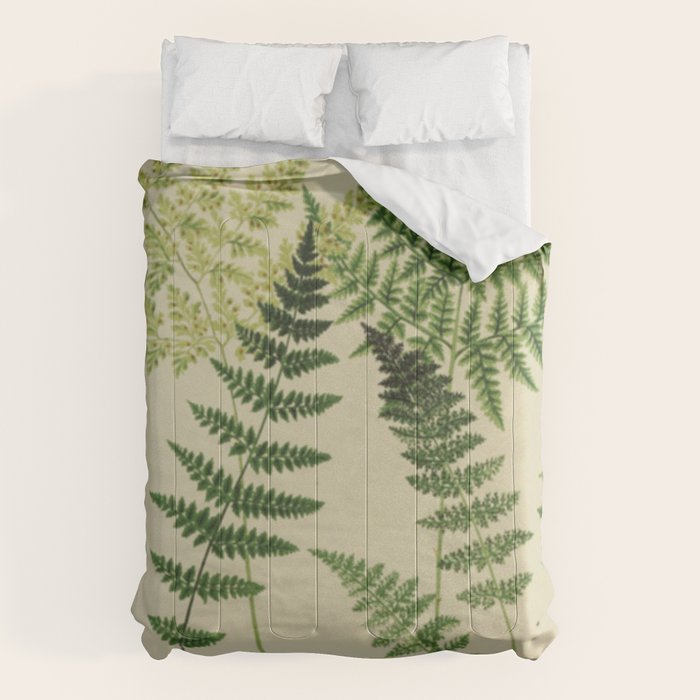 Botanical Ferns Comforter Gallery Image 1