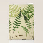 Botanical Ferns Stationery Card Gallery Image 2
