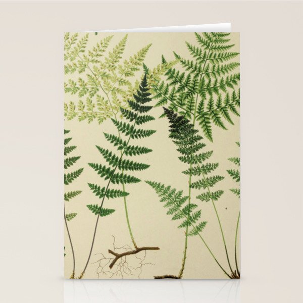 Botanical Ferns Stationery Card Gallery Image 2