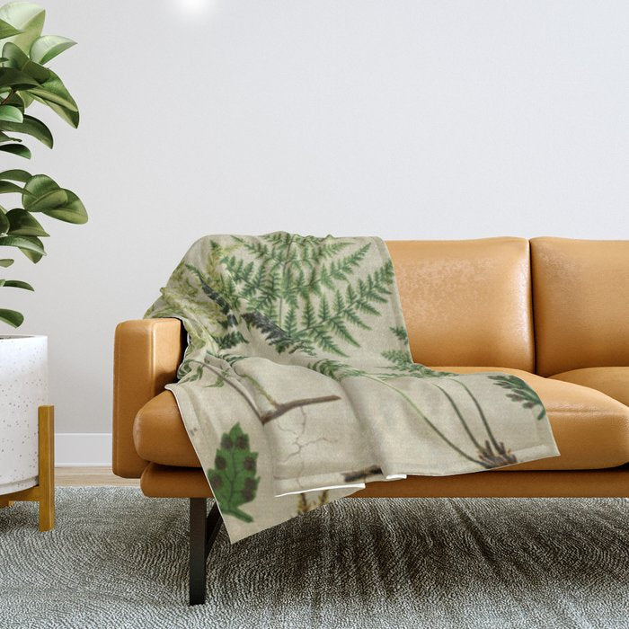 Botanical Ferns Throw Blanket Gallery Image 1