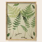 Botanical Ferns Serving Tray Gallery Image 1