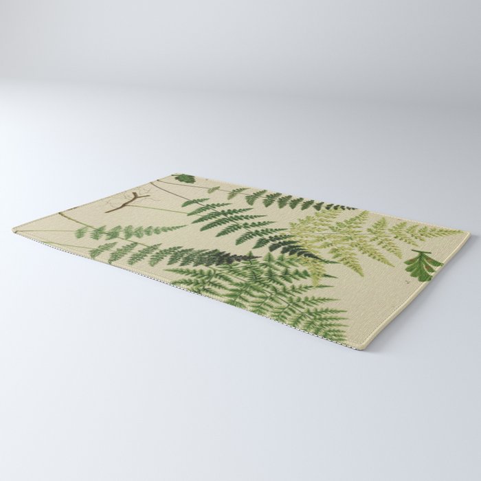 Botanical Ferns Rug Gallery Image 3