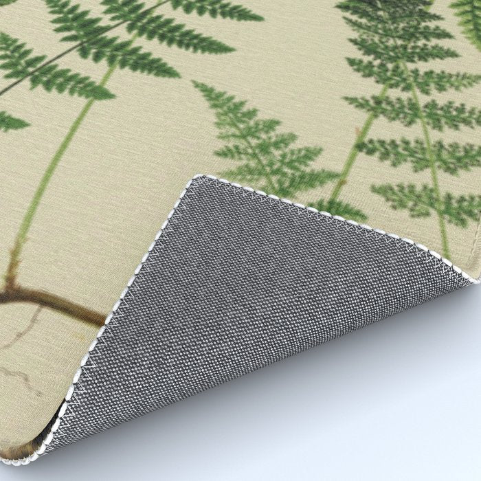 Botanical Ferns Rug Gallery Image 4