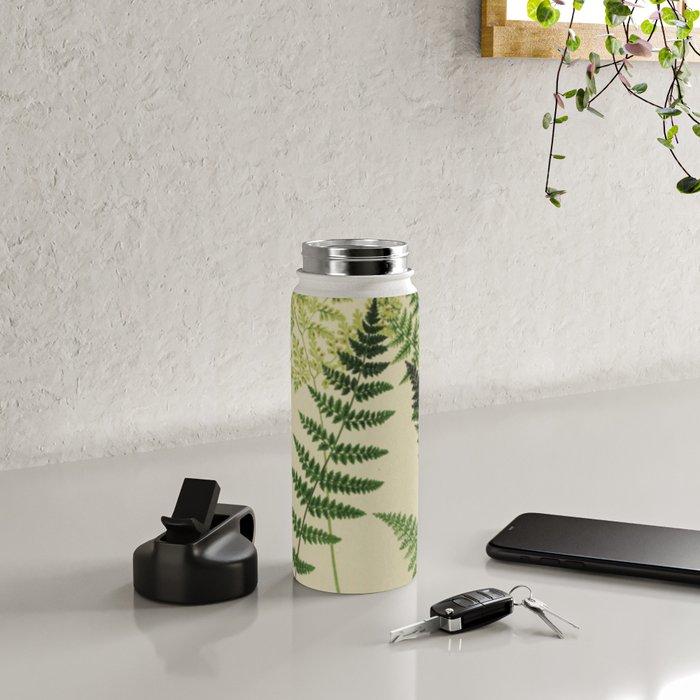 Botanical Ferns Water Bottle Gallery Image 4