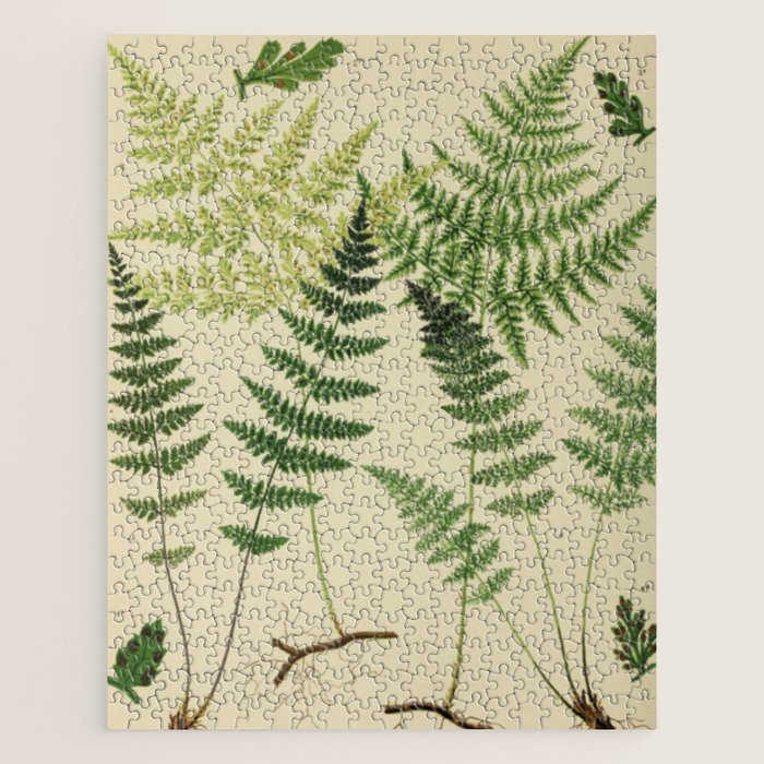 Botanical Ferns Jigsaw Puzzle Gallery Image 1