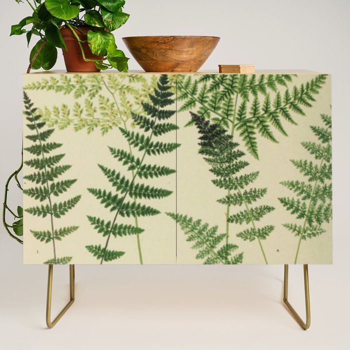Botanical Ferns Credenza Gallery Image 1