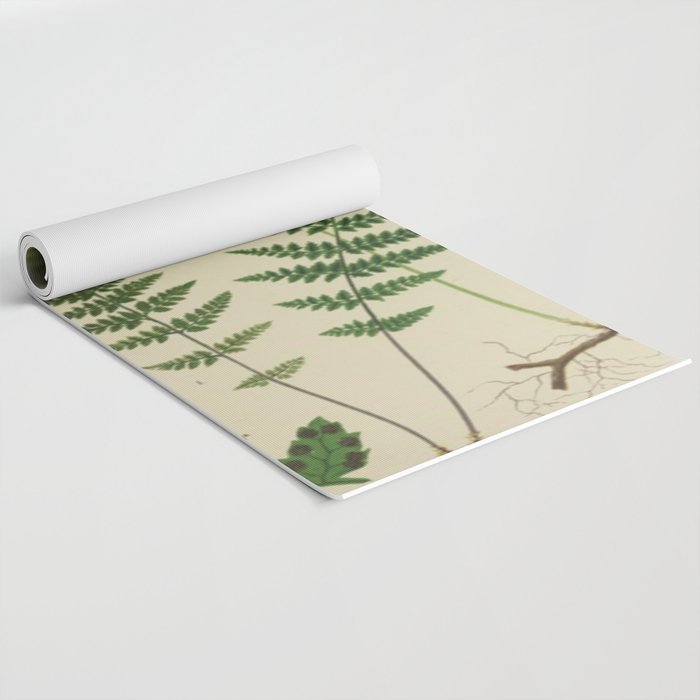 Botanical Ferns Yoga Mat Gallery Image 2
