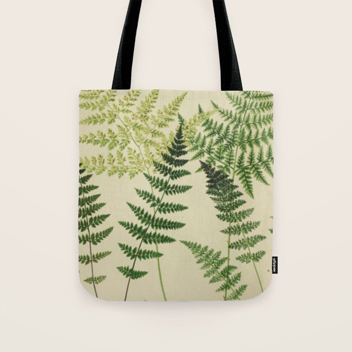 Botanical Ferns Tote Bag Gallery Image 1
