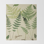 Botanical Ferns Throw Blanket Gallery Image 2