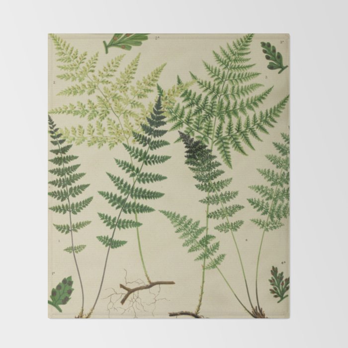 Botanical Ferns Throw Blanket Gallery Image 2