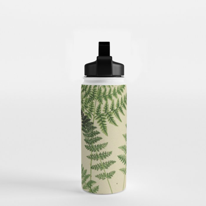 Botanical Ferns Water Bottle Gallery Image 2