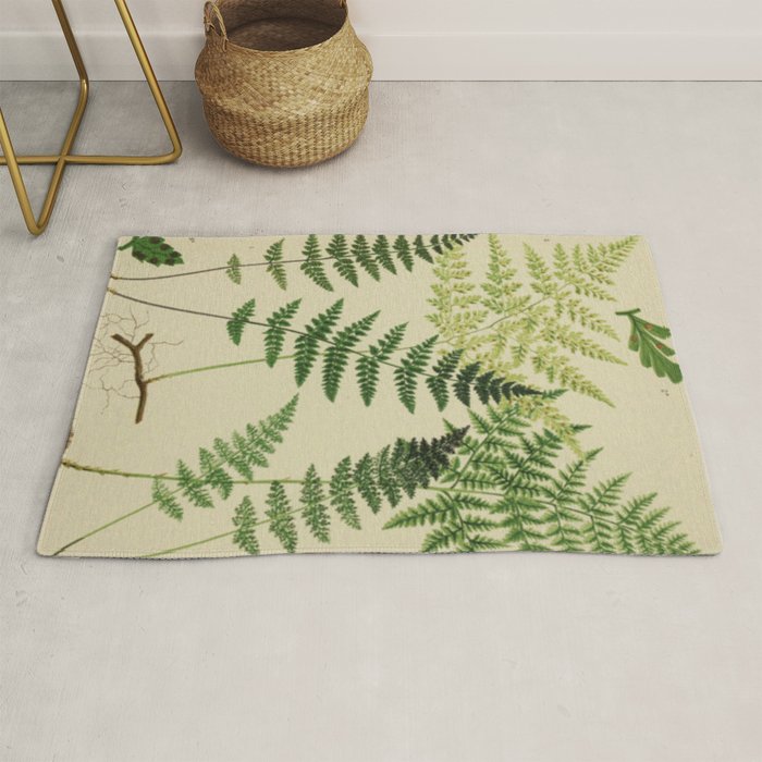 Botanical Ferns Rug Gallery Image 1
