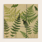 Botanical Ferns Wood Wall Art Gallery Image 1