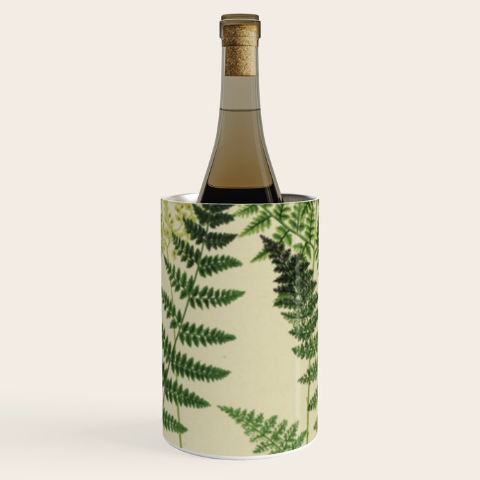 Botanical Ferns Wine Chiller Gallery Image 1