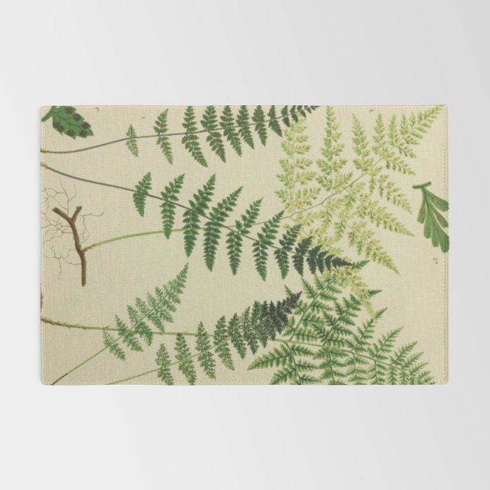 Botanical Ferns Rug Gallery Image 2