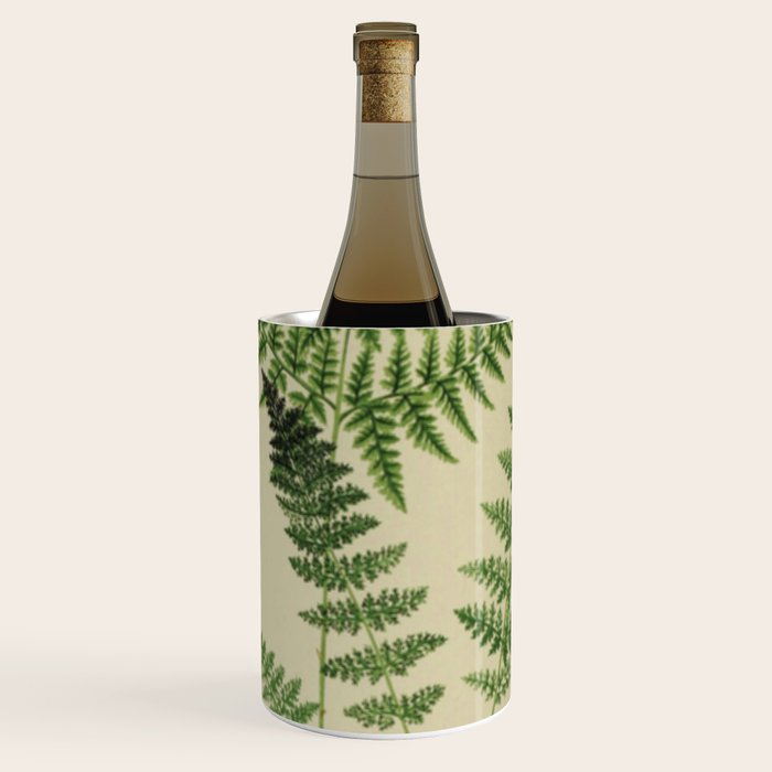 Botanical Ferns Wine Chiller Gallery Image 3