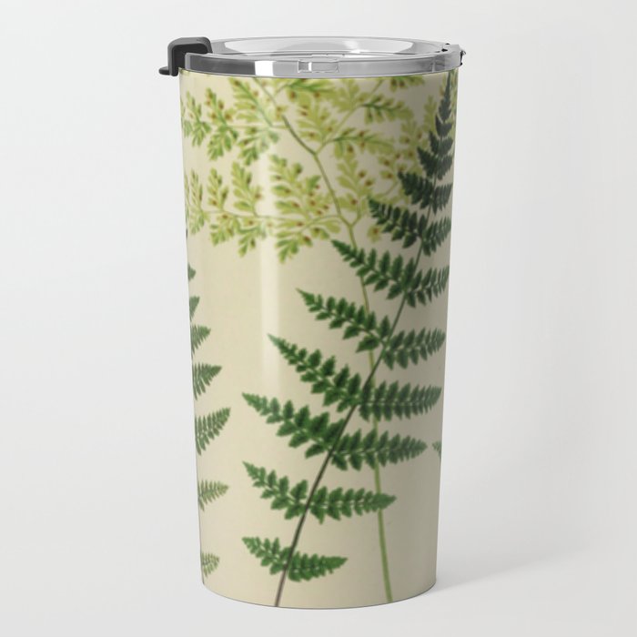 Botanical Ferns Travel Mug Gallery Image 3