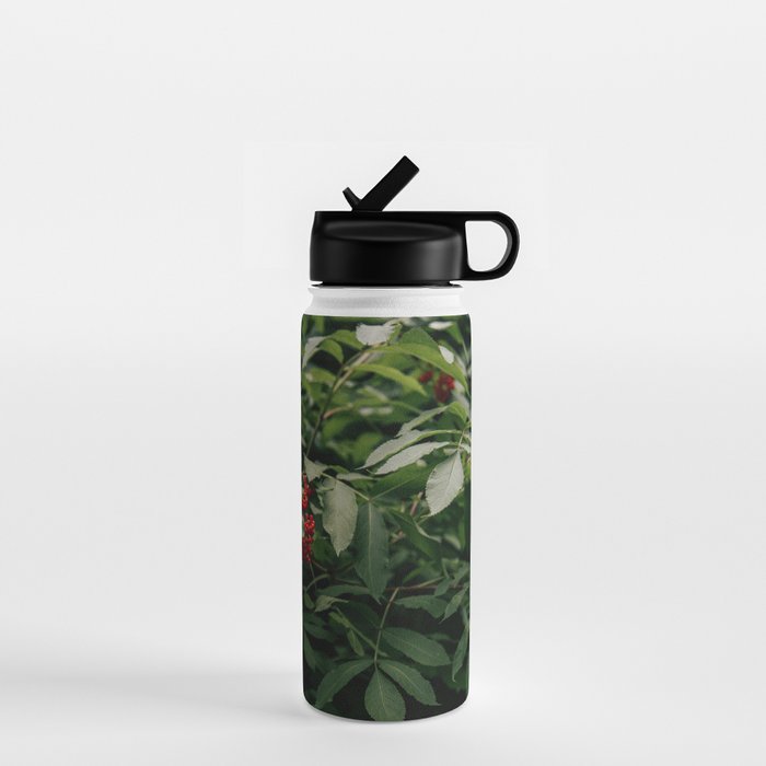 Red Elderberry Water Bottle Gallery Image 1