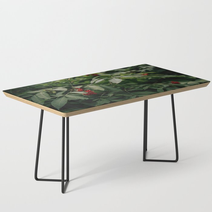 Red Elderberry Coffee Table Gallery Image 1