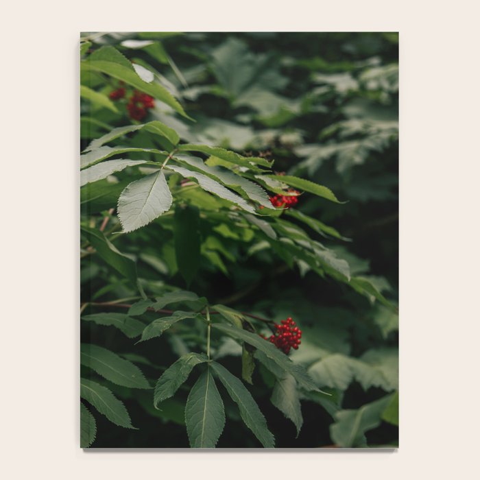Red Elderberry Notebook Gallery Image 4