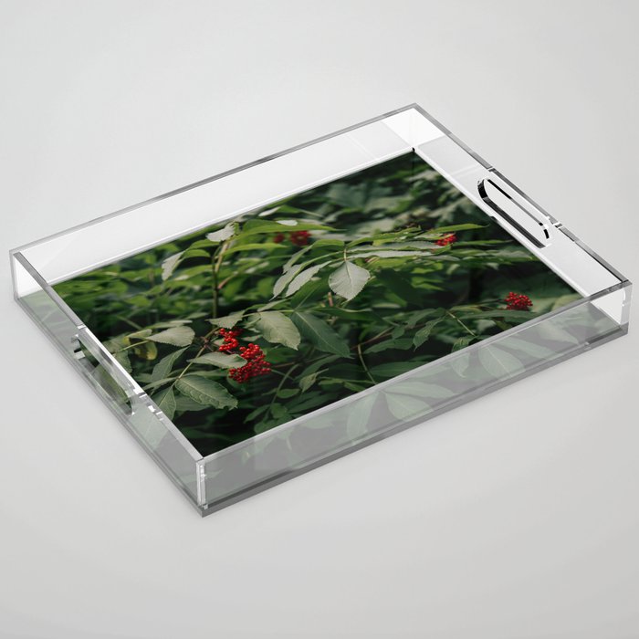Red Elderberry Acrylic Tray Gallery Image 1