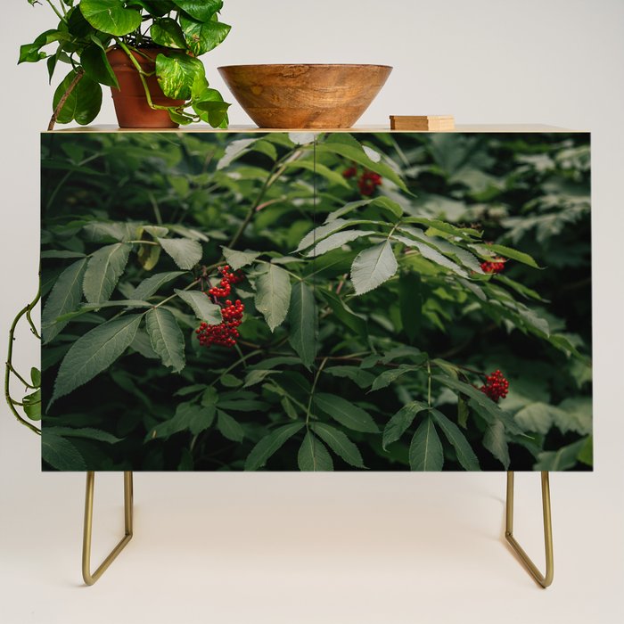 Red Elderberry Credenza Gallery Image 1