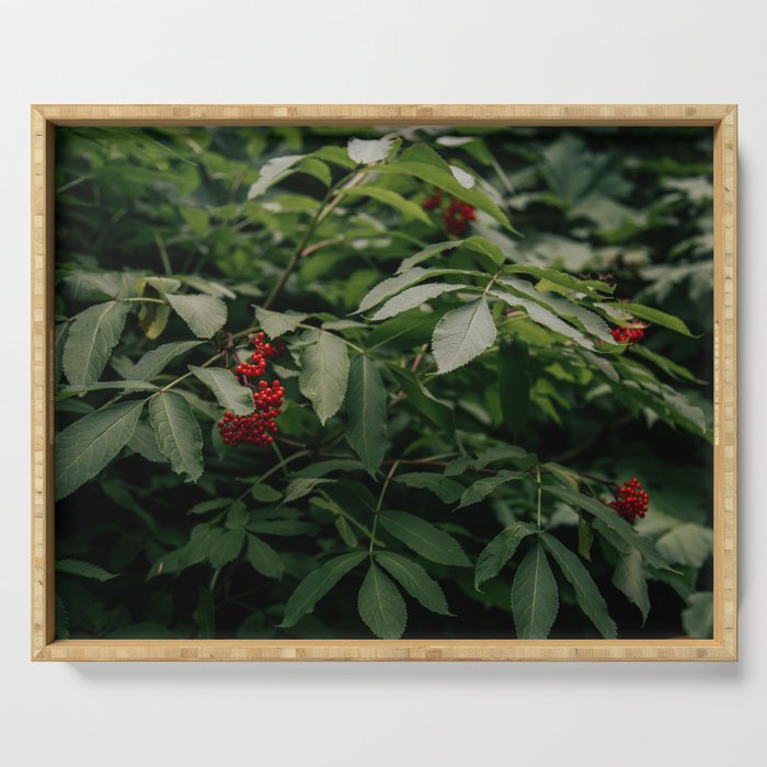 Red Elderberry Serving Tray Gallery Image 1