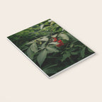 Red Elderberry Notebook Gallery Image 3