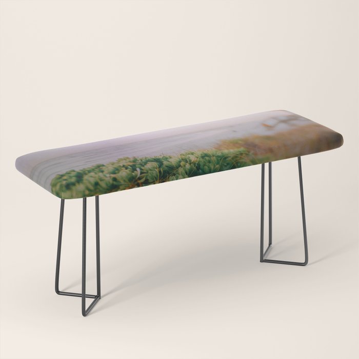 Morning Meditation Bench Gallery Image 1