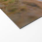 Morning Meditation Welcome Mat Gallery Image 2