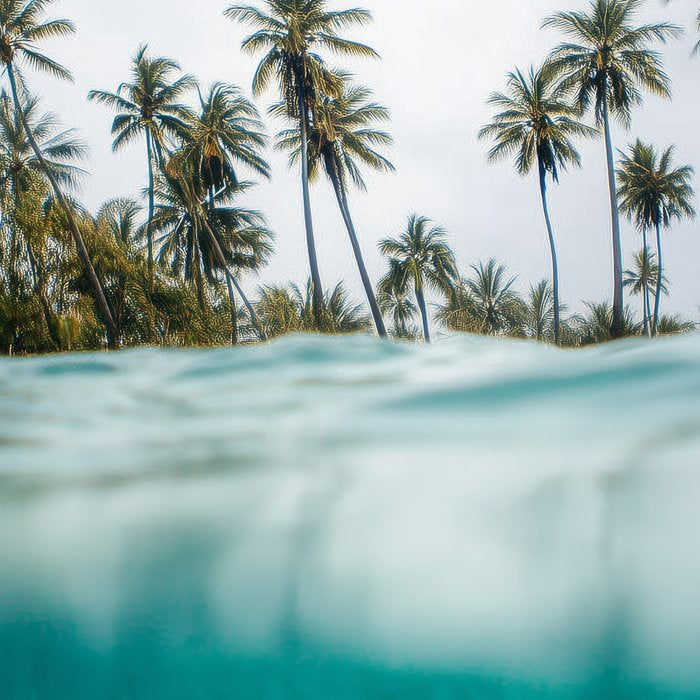 Split View Paradise - Ocean and Palm Tree Wall Art Coffee Mug Gallery Image 2