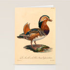 Ornithological illustration from "La Galerie de Oiseaux" ("Bird Gallery"), 1825 Stationery Card Gallery Image 2