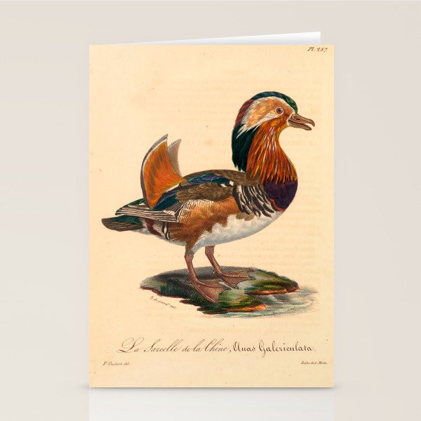 Ornithological illustration from "La Galerie de Oiseaux" ("Bird Gallery"), 1825 Stationery Card Gallery Image 2