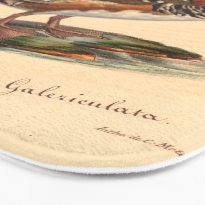Ornithological illustration from "La Galerie de Oiseaux" ("Bird Gallery"), 1825 Bath Mat Gallery Image 3