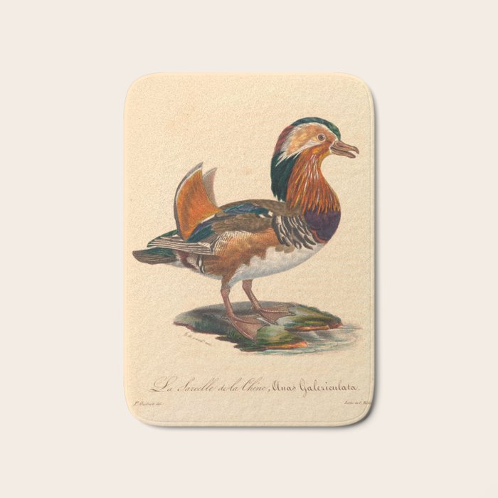 Ornithological illustration from "La Galerie de Oiseaux" ("Bird Gallery"), 1825 Bath Mat Gallery Image 1