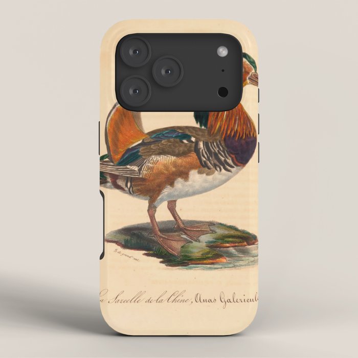 Ornithological illustration from "La Galerie de Oiseaux" ("Bird Gallery"), 1825 iPhone Case Gallery Image 3